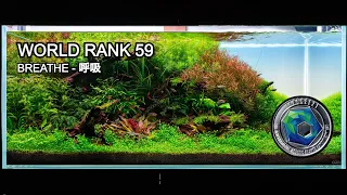 Nature Aquascape Start to Finish - IAPLC 2021 - Rank #59