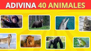 🐾 ¡Adivina el Animal! 🐾: Pon a Prueba tu Conocimiento Animal 🦁🦓🐬 #1