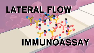 Lateral flow immunoassay