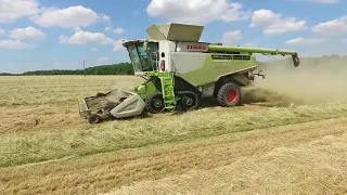 Macdon PW8 pickup and Claas Lexion, Grass Seed Harvest UK