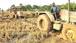 Mahindra Arjun Novo 605Dii Ms 4wd Stuck In Mud | Help by Arjun Novo 655 Di 4Wd