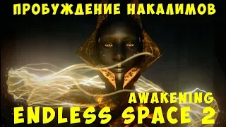 👽 Endless Space 2 Awakening: Пробуждение Накалимов