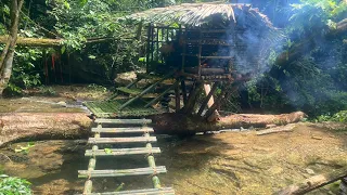 Solo Bushcraft: Build a Bushcraft house on a fallen tree. Survival in the tropical jungle - P.2