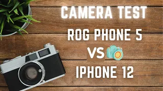 Asus ROG Phone 5 vs iPhone 12 Camera Test & Comparison 📷