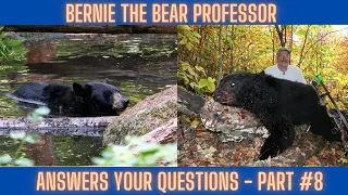 Your Bear Hunting questions answered #8