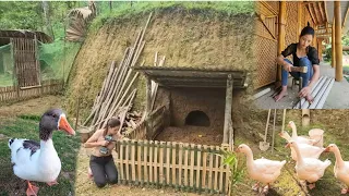 Full video Coc lives in a bamboo house in the forest and builds a farm
