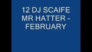12 DJ SCAIFE & MR HATTER