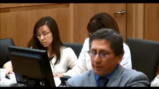 Jodi Arias Trial : Day 36 : Prosecutor Vs. Shrink, Again : Part 1 (No Sidebars)