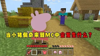 我的世界：当小猪佩奇来到MC中会发生什么？我养的鸡都消失了！