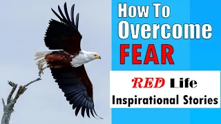 How to overcome fear.