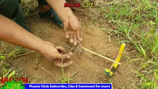 Build Creative Unique Underground Quail Bird Trap Using wood | working 100%