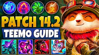 Patch 14.2 UPDATE GUIDE - Teemo is still a S+ champion