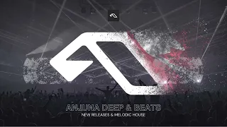 Anjuna Deep & Beats New Releases & Melodic House 2024-01-15