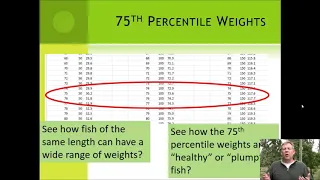 FM Lecture 11 - Fish Condition