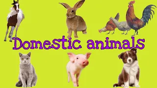 English for kids. Learn domestic animals. Английский детям. Домашние животные.