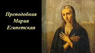 Преподобная Мария Египетская