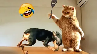 Funniest Animal Moments 2023 😂 Funniest Cats and Dogs 😺🐶 Ep 83 | Funny Pets