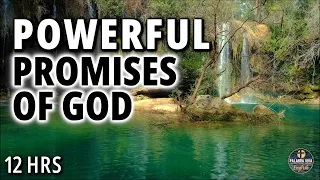 The Most Powerful Verses From the word of God | Bible reading | 12 HRS