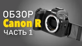 Обзор Canon R. Часть 1:  примеры 4К видео и фото, тест автофокуса.