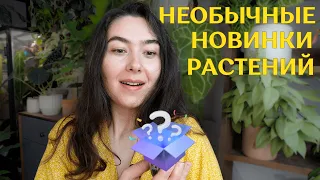 Обзор НОВИНОК | заказала РАСТЕНИЯ, НЕ ТИПИЧНЫЕ для коллекции | АПРЕЛЬ 2024