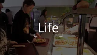 Royal Holloway Virtual Experience - Life