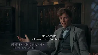 "Animales Fantásticos: Los Secretos de Dumbledore". La confianza. Oficial WB Pictures (HD/SUB)