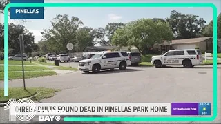 3 found dead in Pinellas Park home