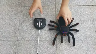 RC Spider Remote Control Robot Toy. | 4CH RC Spider #youtube #youtubeshorts #youtubeshort