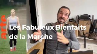 RÉACTION AUX BIENFAITS DE LA MARCHE (DOCU ARTE)