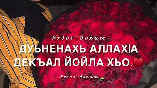 Песня на день рождения! Дал декъал йойла!♥️