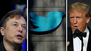 Elon Musk restores Donald Trump to Twitter after holding online poll
