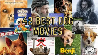 The 42 Best Dog Movies to Watch