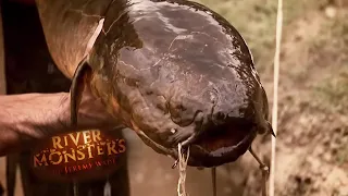 The Most IMPRESSIVE Eel | EEL | River Monsters