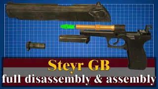 Steyr GB: full disassembly & assembly