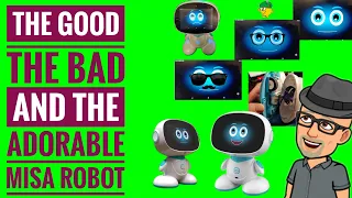 Misa Robot what works well and areas for improvement.  The God The Bad The Adorable of Misa