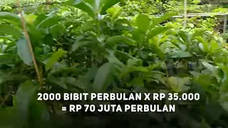 [FULL] Ide Kreatif Menghasilkan Cuan | CUAN BOS (10/09/22)