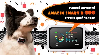 Обзор умного антилай ошейника SmartB-800 | Amazin.su