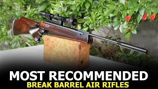 Top 10 Best Break Barrel Air Rifles for Small Game Hunting - Most Recommended Airguns