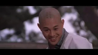 Martial arts of Shaolin-Jet Li   English sub南北少林