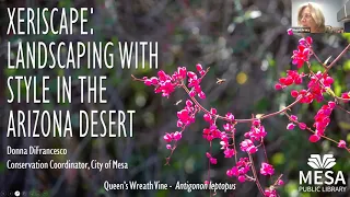 AZ Gardening 101: Xeriscape Landscaping with Style in the AZ Desert
