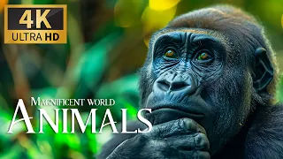 Magnificent World Animals 4K 🐒Discovering the Majestic and Mischievous of Wildlife with Relax Music