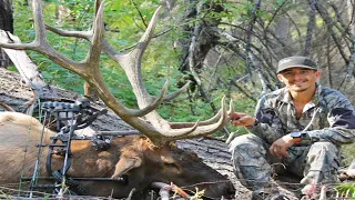 Backcountry Elk Hunt 'Original Athlete' Full Draw Archives