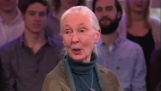 Jane Goodall on Bonobos