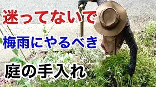 【荒地リフォーム12】梅雨にやるべきお庭の作業教えます　【カーメン君】【園芸】【ガーデニング】【初心者】