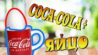 ЧТО БУДЕТ ЕСЛИ куриное яйцо оставить в COCA-COLA???