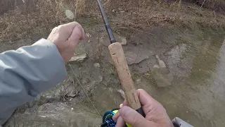 Center Pin Steelhead Erie, Pa. - Dec. 2019