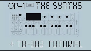 OP-1 Field All The Synths & TB-303 Patch Tutorial