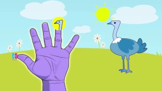 Ostrich Finger Family | Spanish Family Cartoon Animation For Children