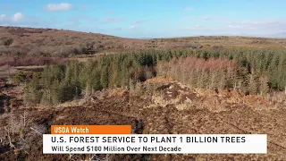 U.S. Forest Service to Plant 1 Billion Trees