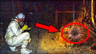 12 Most Mysterious Finds That Scientists Still Can't Explain